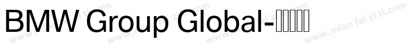 BMW Group Global字体转换
